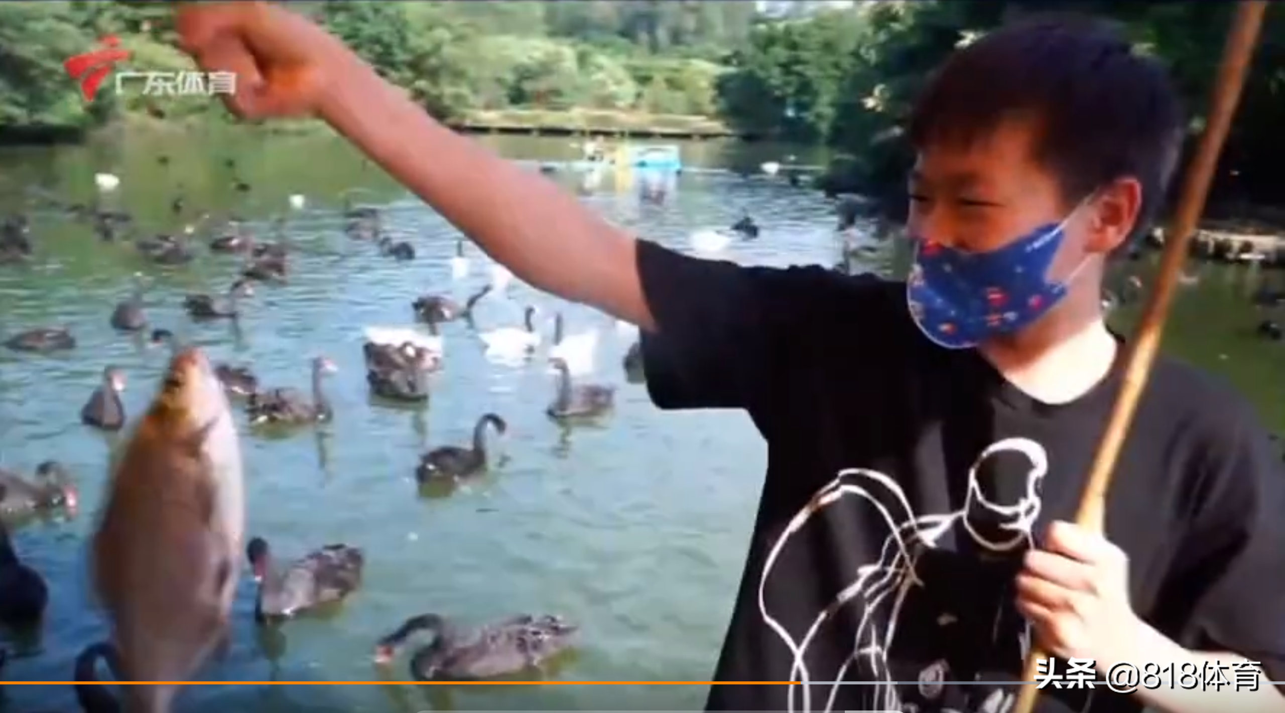 海王!全红婵长隆动物园一口气钓9条鱼,打破园区纪录嘚瑟:我厉害吗