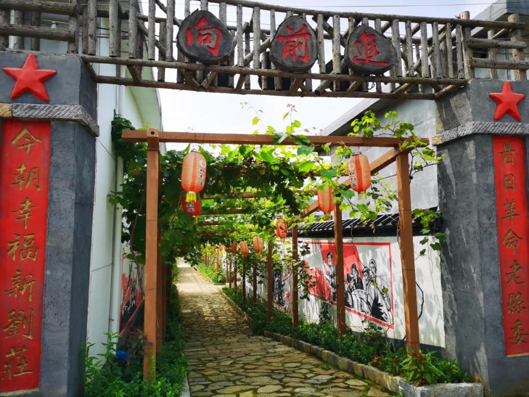 李希信到临沂市调研乡村振兴和农村人居环境整治工作