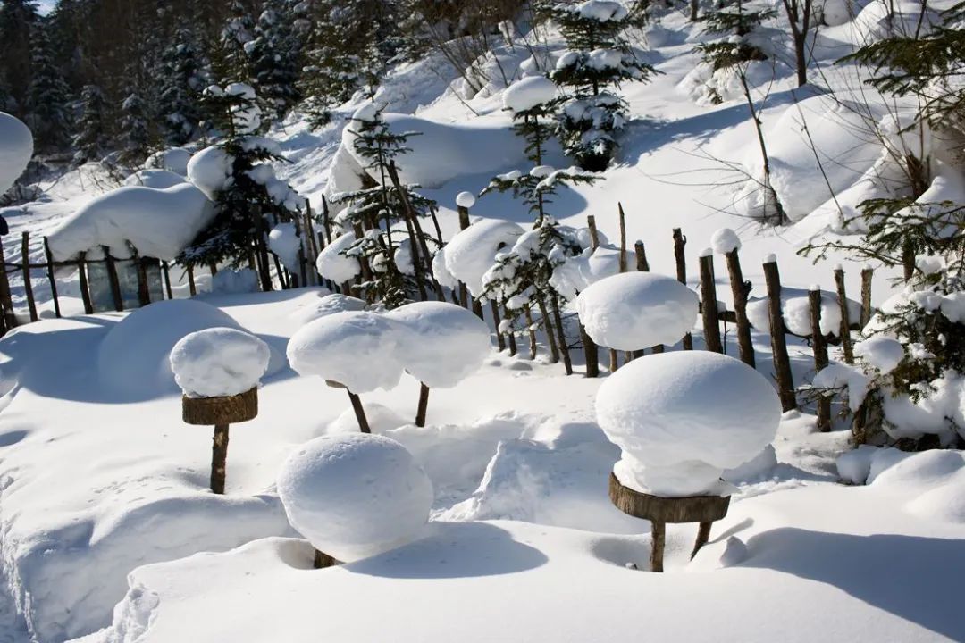 「诗词鉴赏」待雪，在古诗词里，期盼一场纷纷扬扬的大雪