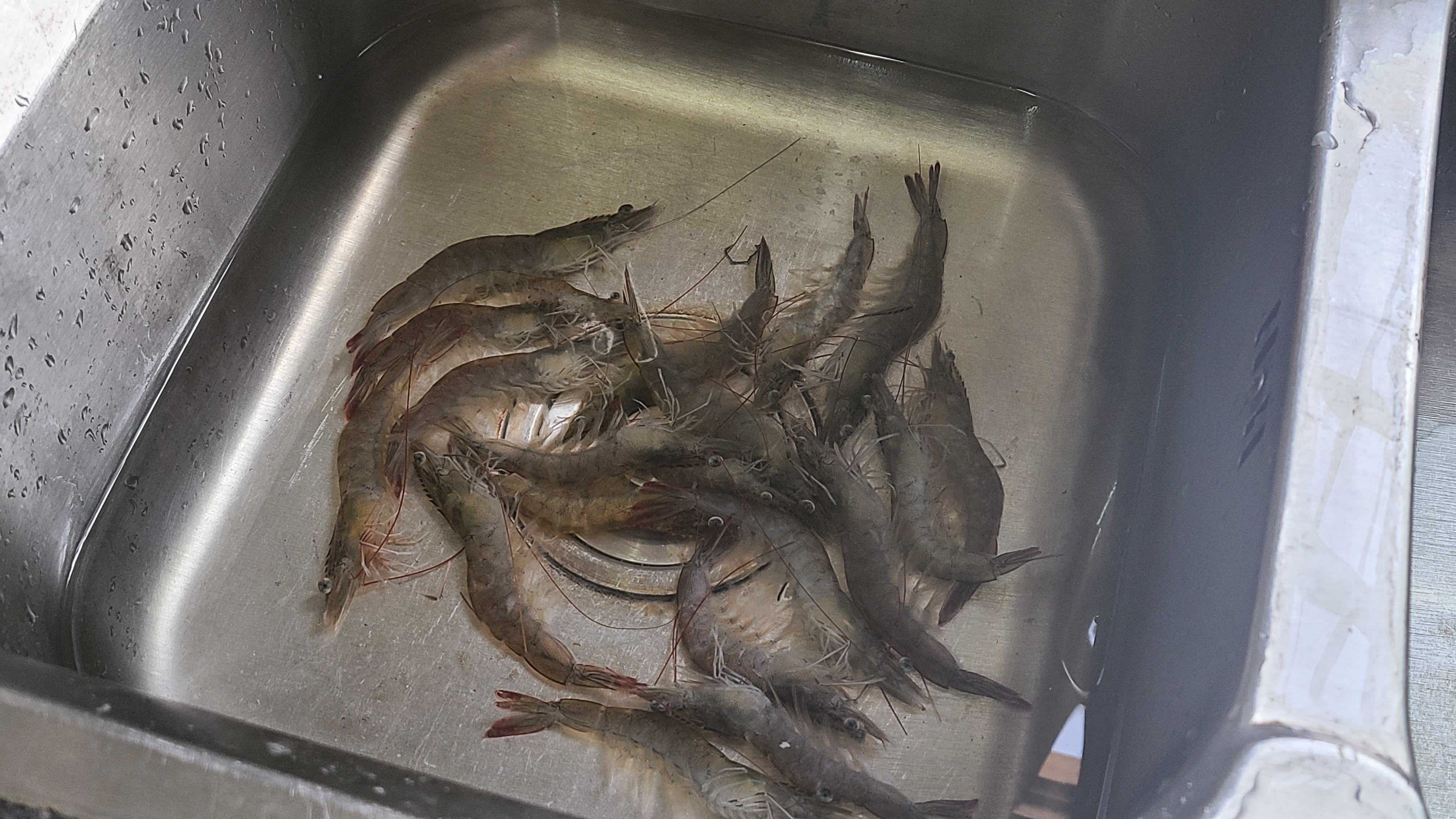 大蝦這樣做更好吃，加一點胡椒碎，又香又開胃，吃了還想吃