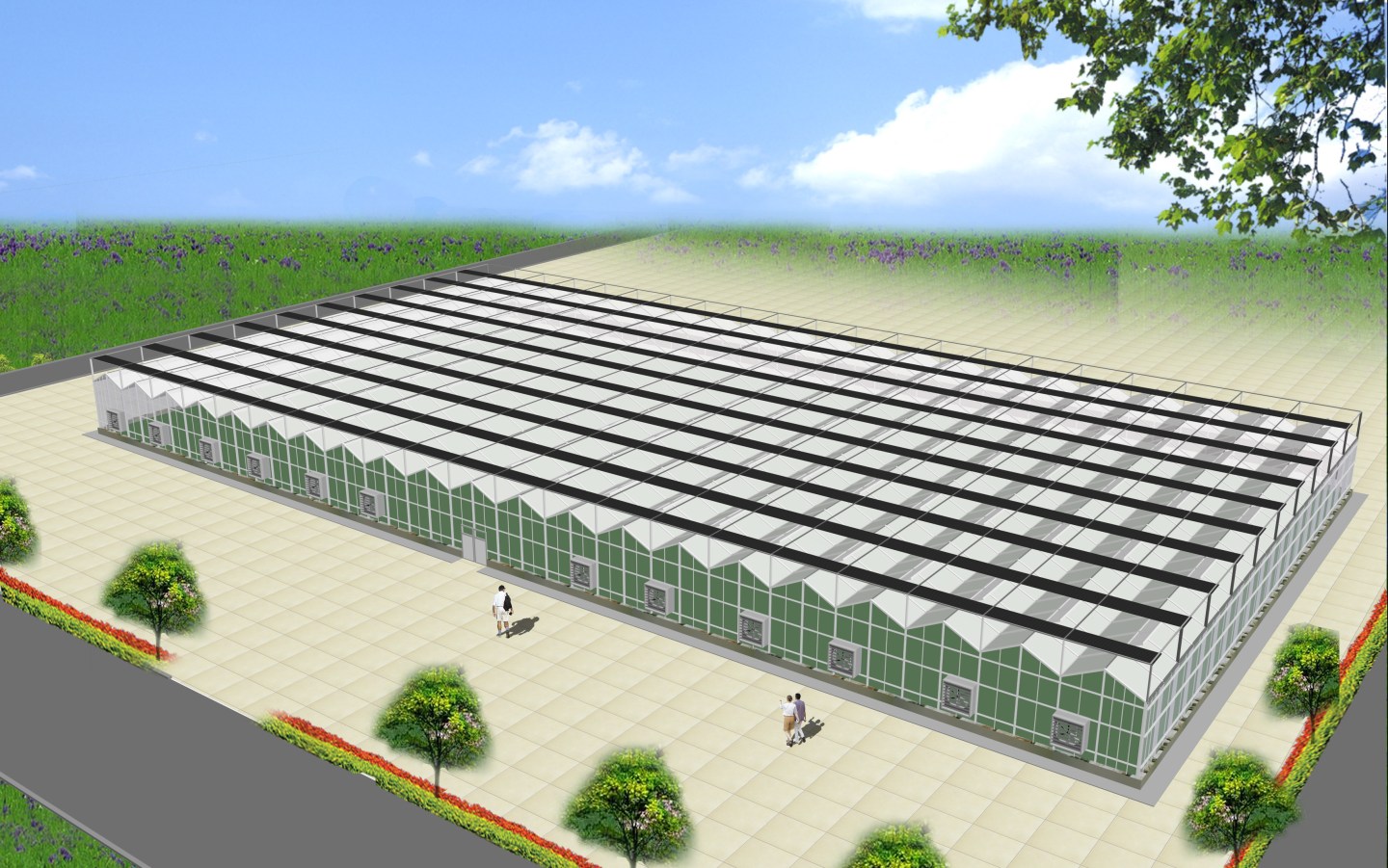 计划做现代设施农业要了解的几种温室大棚样式