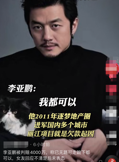 李亚鹏被判赔4000万，近况陷入困境堪忧，新恋情