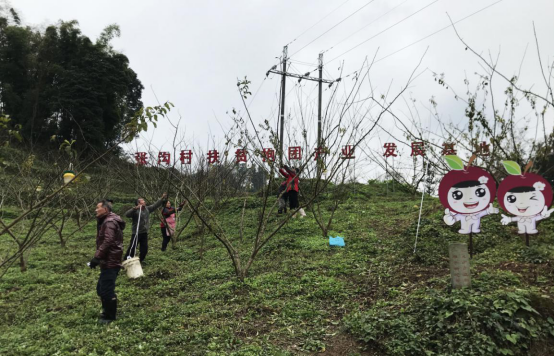 四川省洪雅县：让群众住上大房子 过上好日子