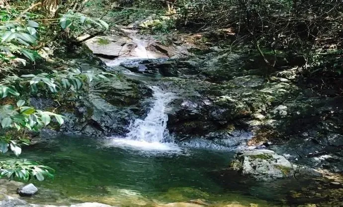 浙西的秘境山水打包送给你,这条自驾路线夏天去正好