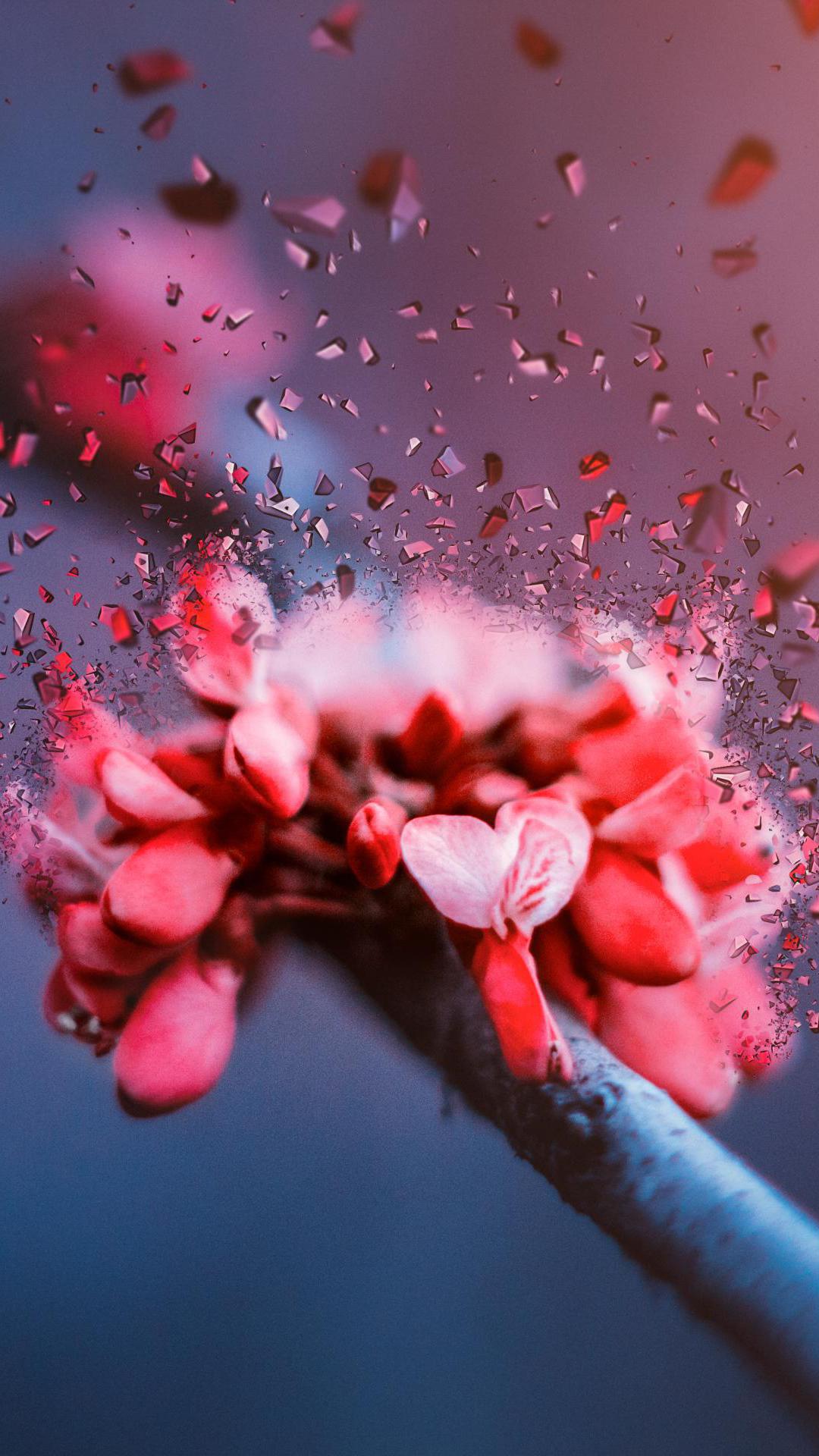 超清手机壁纸 春的记忆 是生命的想象 资讯咖