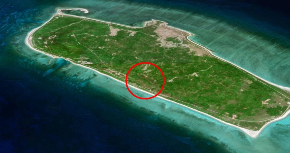 西沙東島發(fā)現(xiàn)400頭野牛，從哪來(lái)？小軍艦鳥(niǎo)數(shù)量銳減與之有關(guān)嗎？