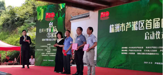 湖南芦淞：小丝瓜擘画大蓝图