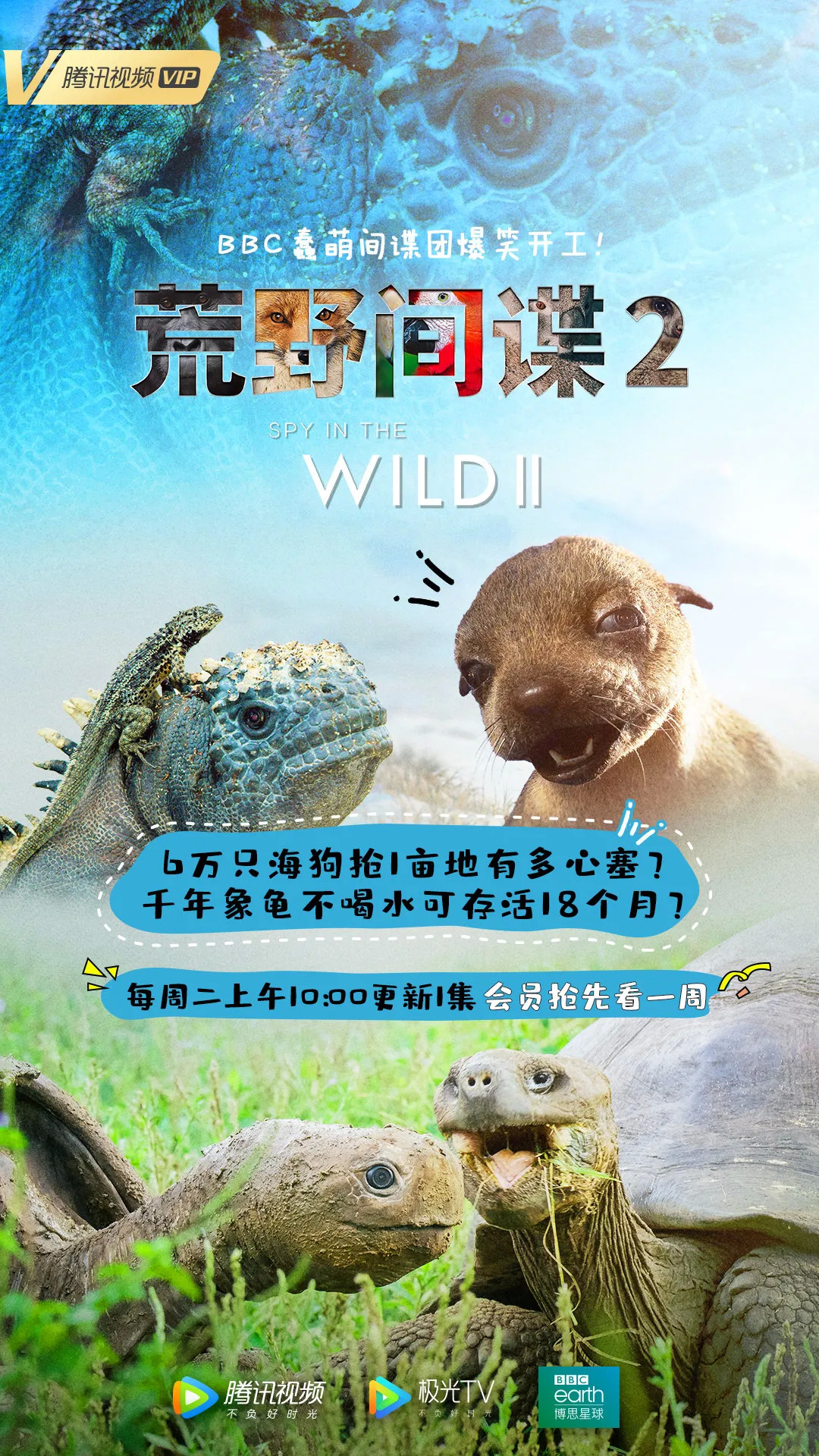 纪录片回春潮：《风味人间》美食诱惑，西瓜视