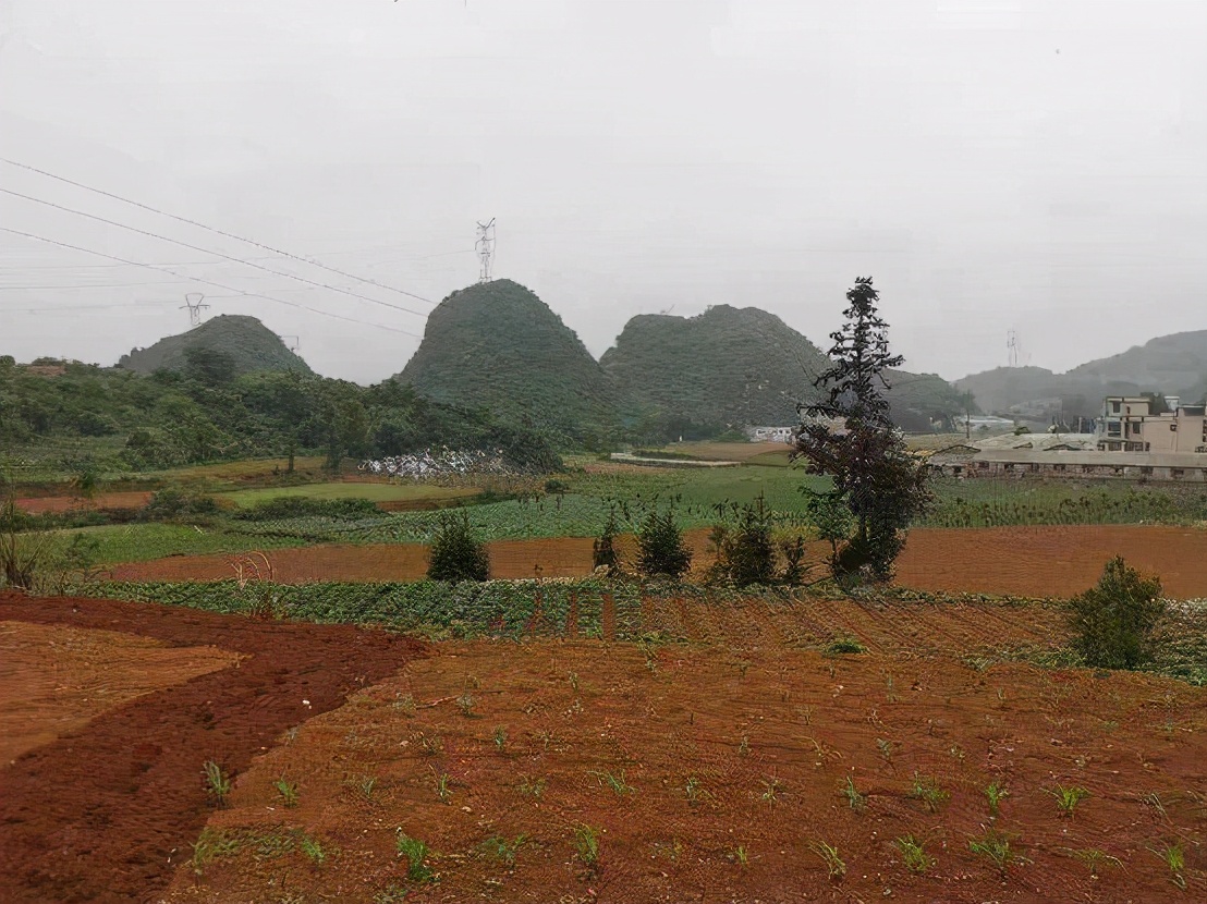 鑫嘉峰高举红旗永远跟党走 脚踏实地奋斗不停步