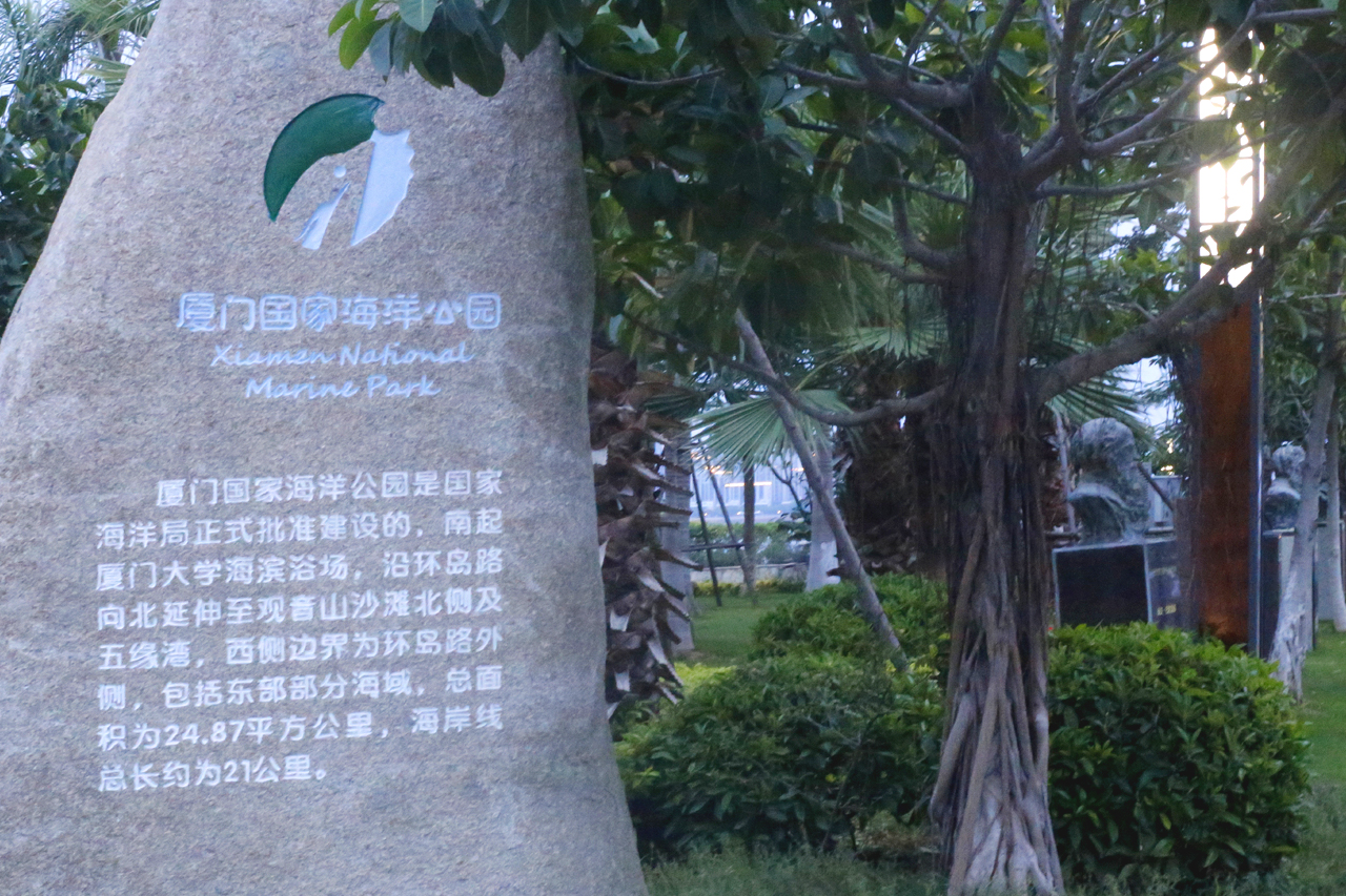 夏日里海风相伴，OPPO Reno5 Pro+记录厦门印象