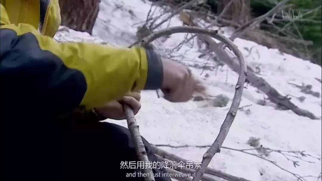 鸡肉味嘎巴脆!盘点《荒野求生》与贝爷的那些梗~