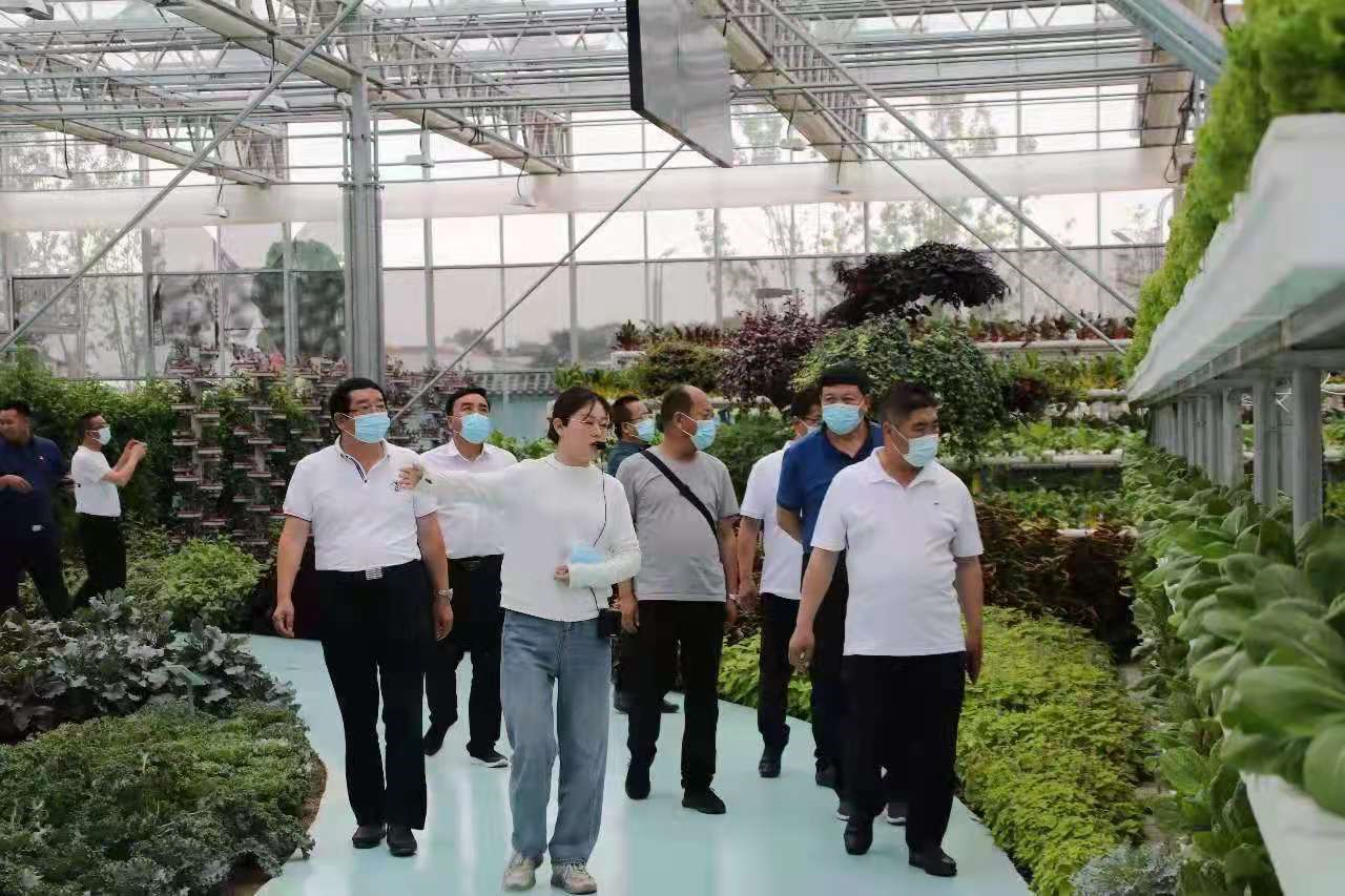甘肃平凉考察组到西姜寨调研