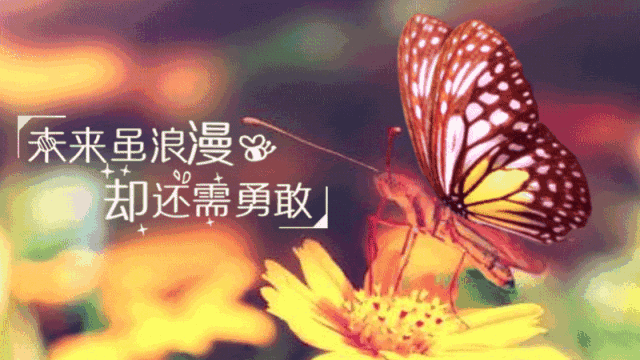 适合发朋友圈的伤感句子，句句入骨，让人心痛图片