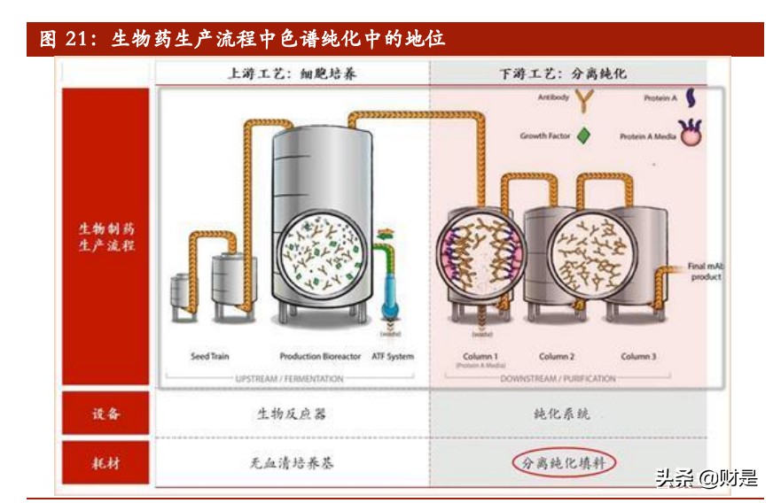 纳微科技专题研究：科技服务领域的纳米微球“芯”