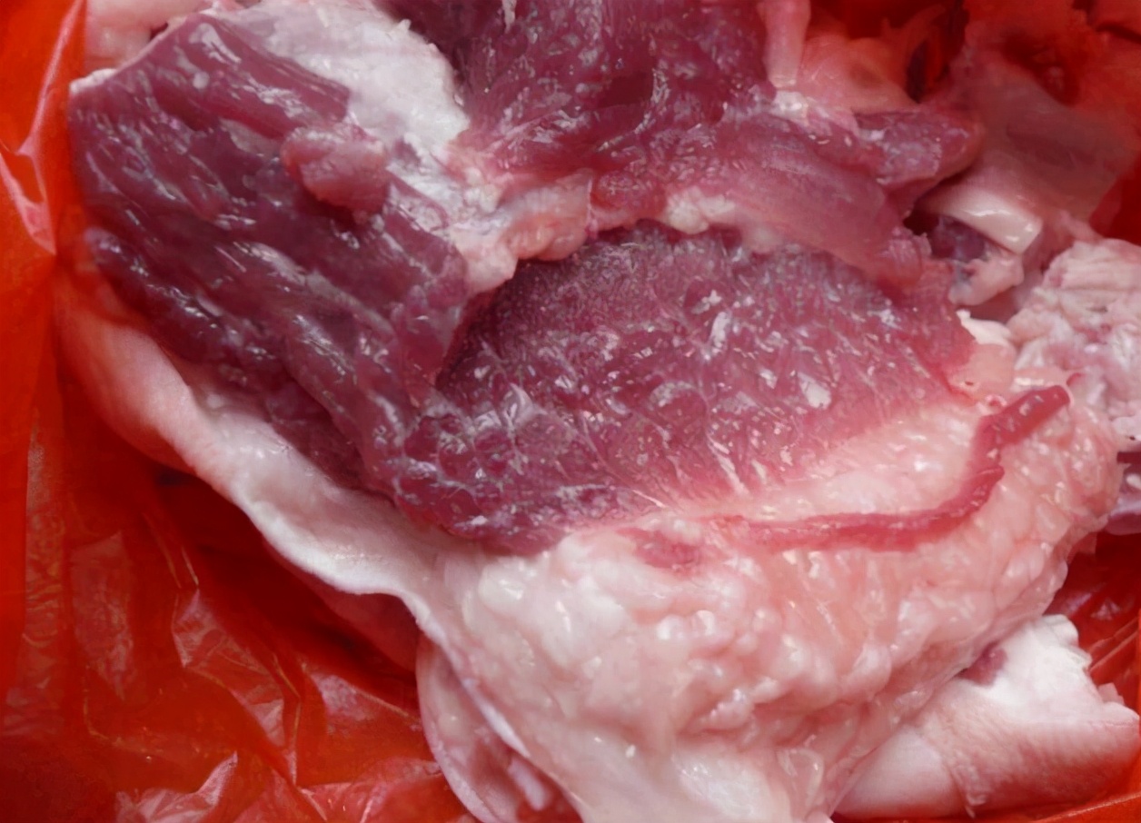 圖片[6]-“老母豬肉”能吃嗎？和生豬肉有什么不同-起舞食譜網