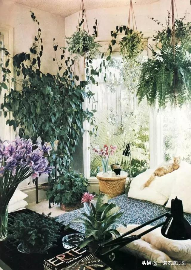 如何用花花草草，布满屋里屋外？