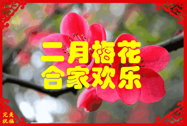 今日元宵节，祝福送上