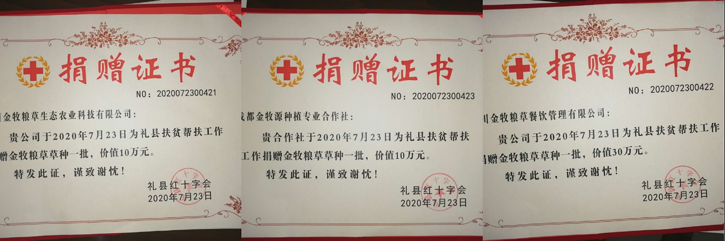 金牧粮草品牌创始人谢容获四川（北京）妇女之家抗疫先进表彰