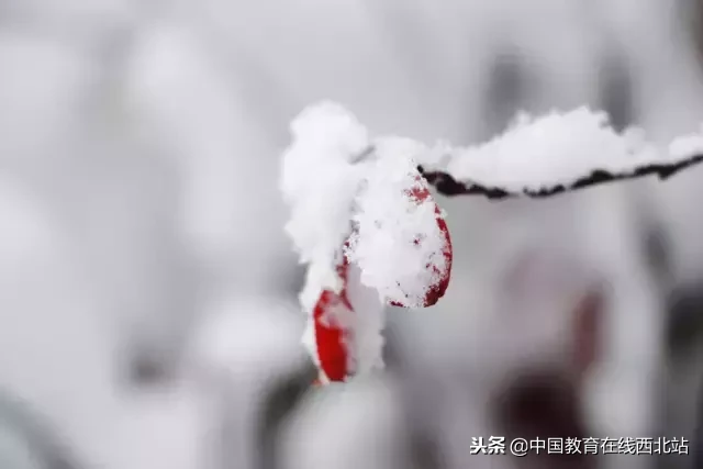 甘肃初雪|甘肃18所高校初学雪景大PK,快来看看有你的母校没?