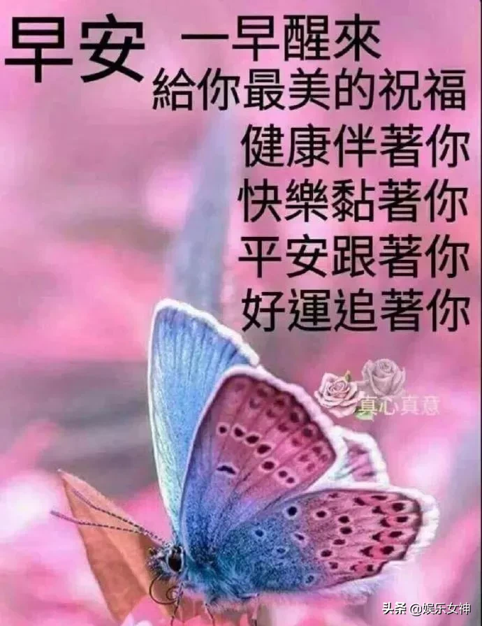 微信群早安问候图片，爱心早安图片大全图片图片