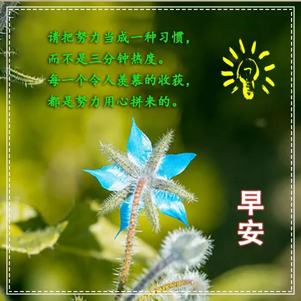 2021年关于早上好的最新图片 早安问候语致自己图片