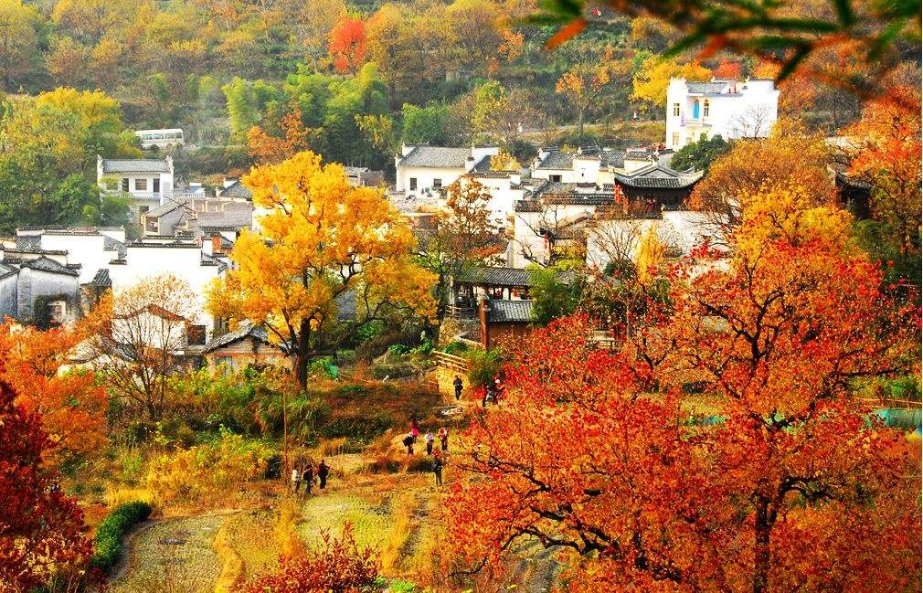 大美中国开启秋日幸福游，这些最适合赏枫叶的地方，你去过几个？