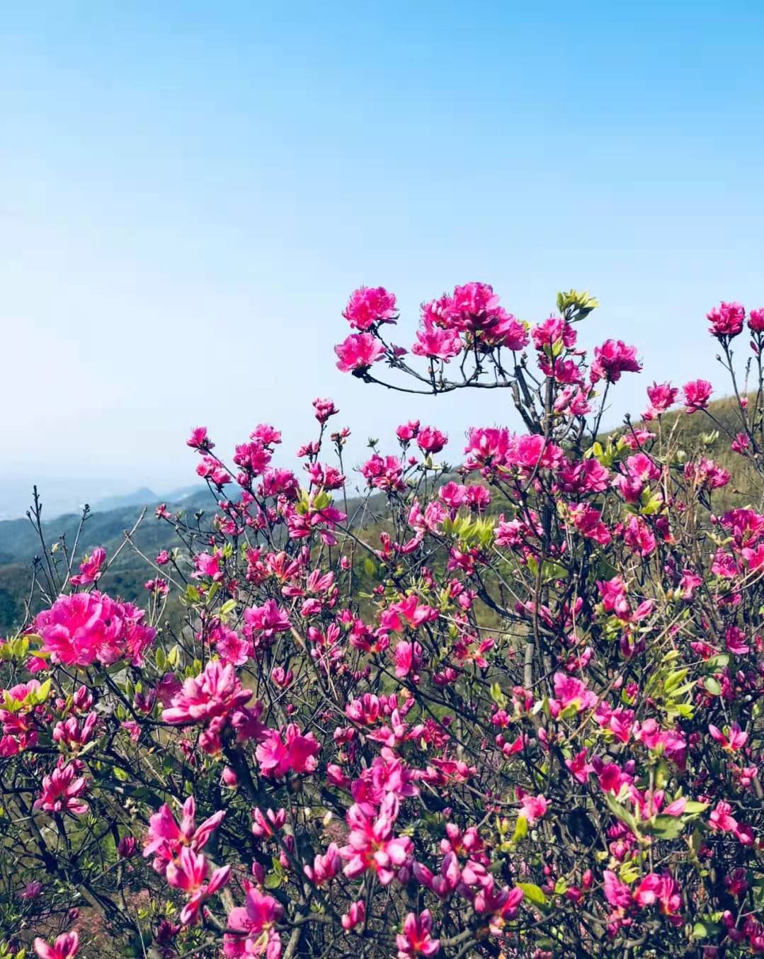 宁波清明去哪玩？藏在甬城的五大绝美秘境，假期躲避人群的好去处