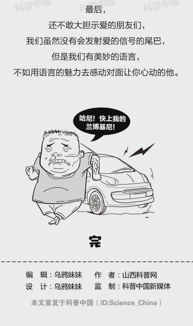 動物長尾巴都是干啥用的？為啥偏偏人類沒有？終于清楚了