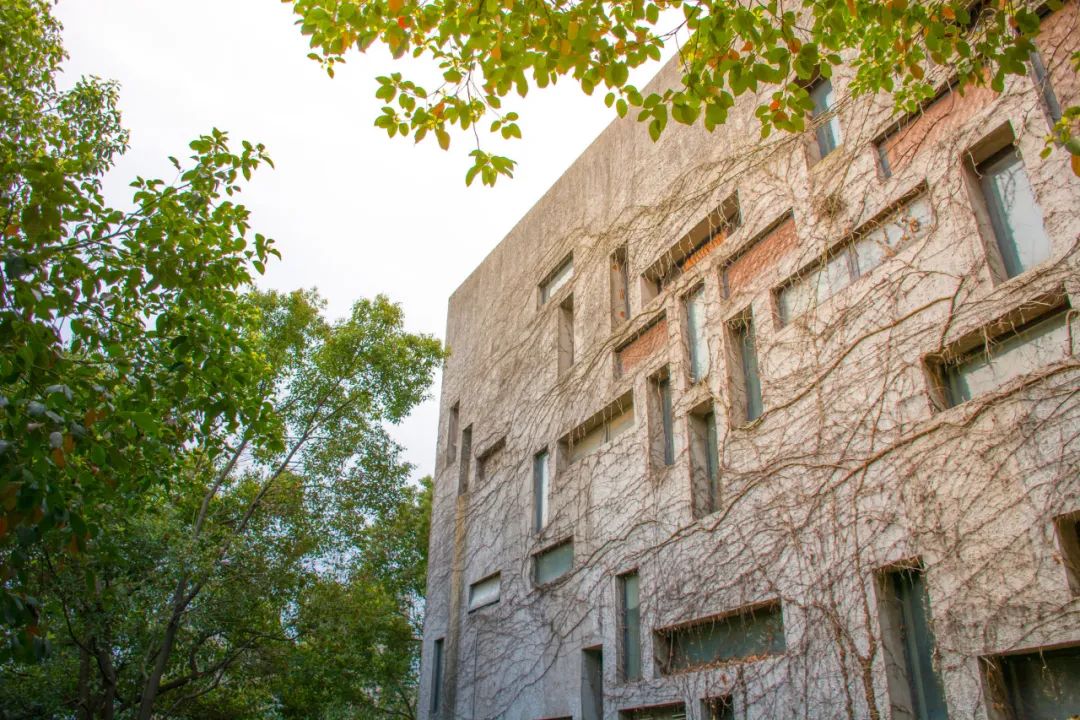 这些大学太美了！网友哭着想重回高考，你最喜欢哪一个？