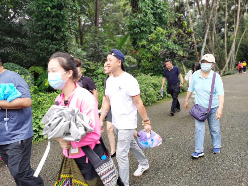 【跋涉边境亲吻祖国】25、走进中国面积最大的西双版纳植物园