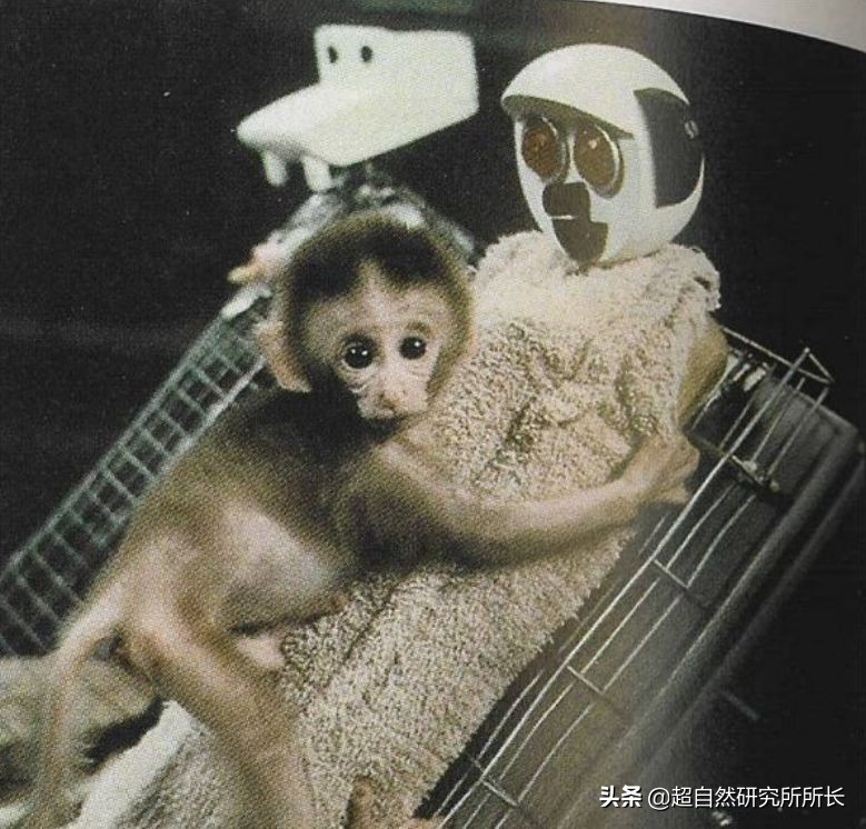 三個直擊你心靈的實驗，請直麵你的內心