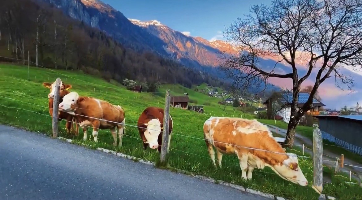 数字货币革命已到来，第三方支付或将收获第一波红利