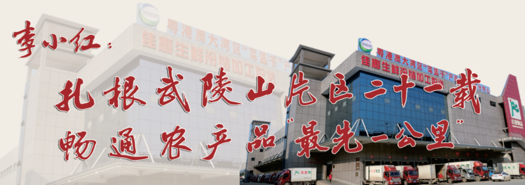 李小红：扎根武陵山片区二十一载 畅通农产品“最先一公里”