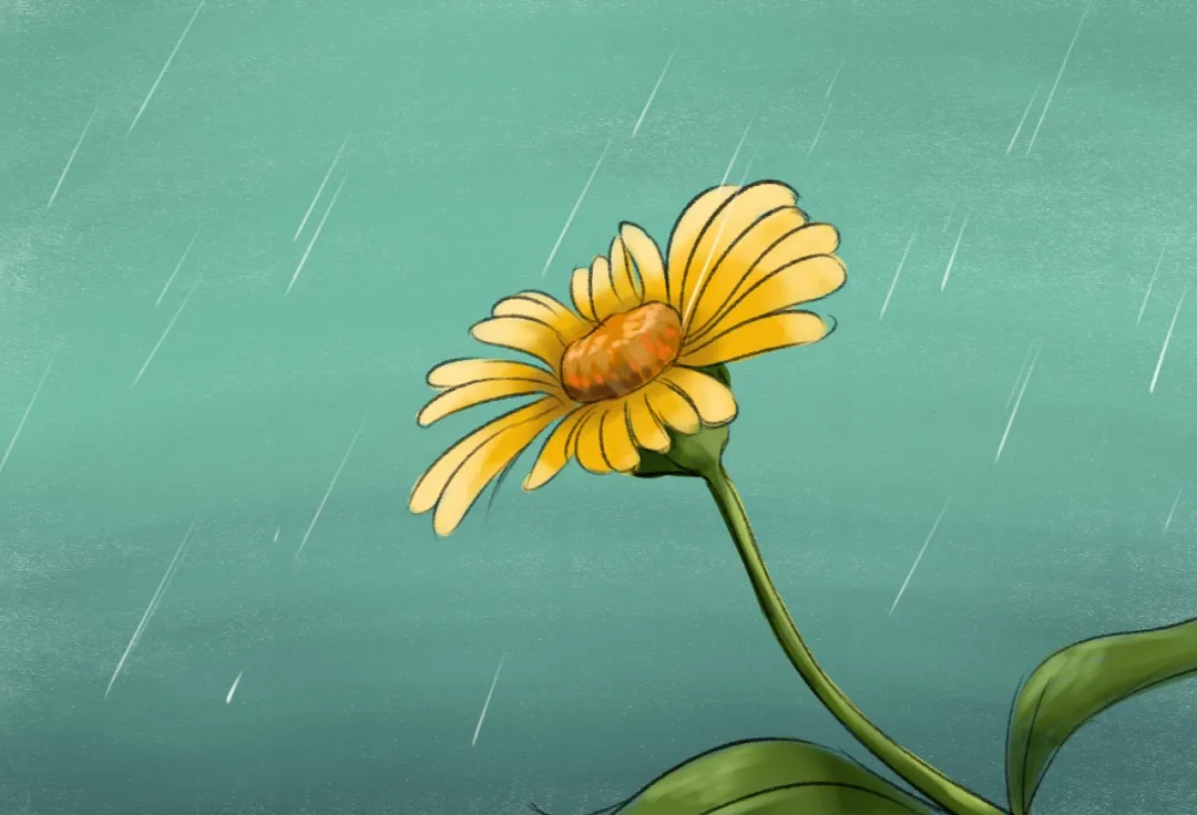 雨,一生的悲欢离合-第4张图片-非凡网 雨,一生的悲欢离合-第4张图片-非凡网