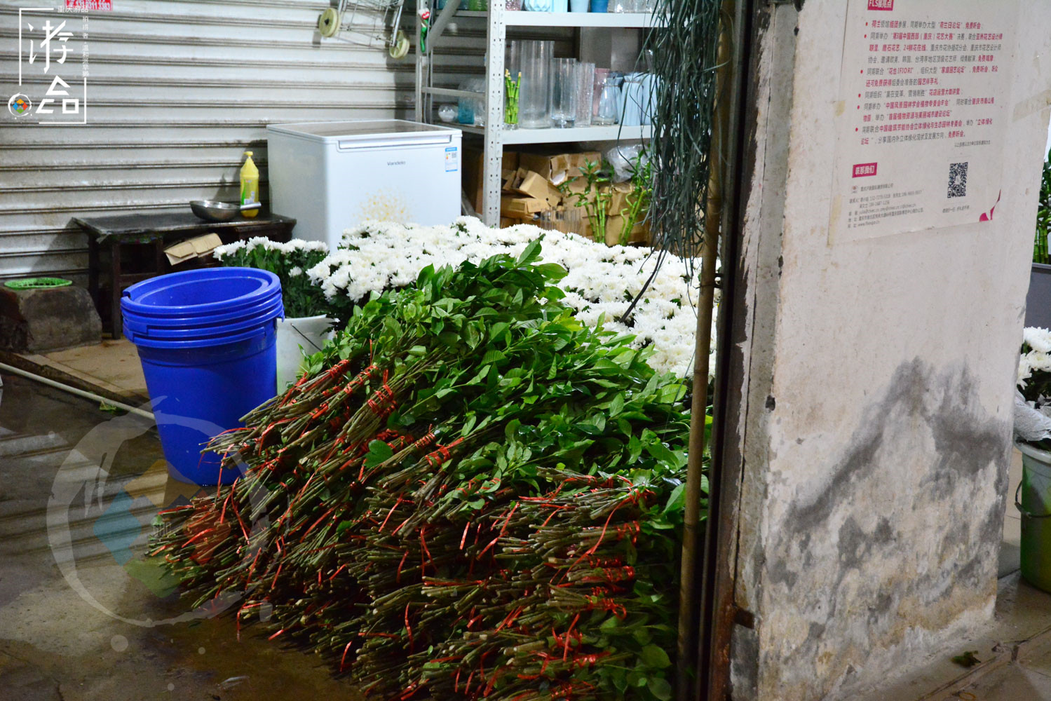 “漂在”重庆码头边的花市：位置偏僻环境差，但价格是主城最低的