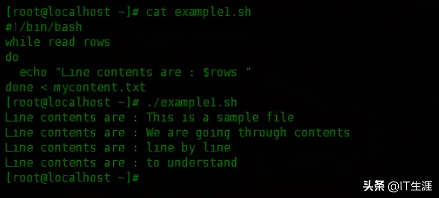 如何在Shell脚本中逐行读取文件