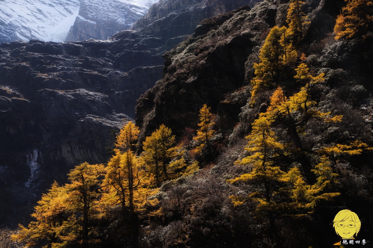 The golden autumn is here again, if you want to go to Aden, Daocheng, you should set off