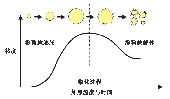 一分钟认识烘焙原料 | 淀粉