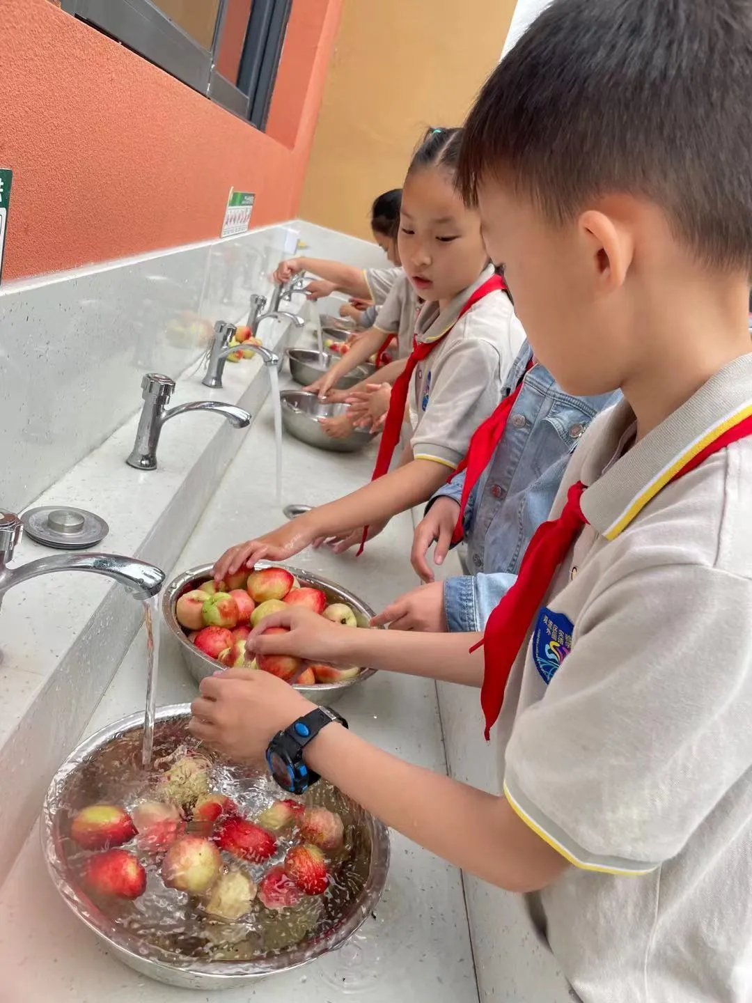 快乐劳动 幸福采摘——双流区实验小学外国语学校劳动课程