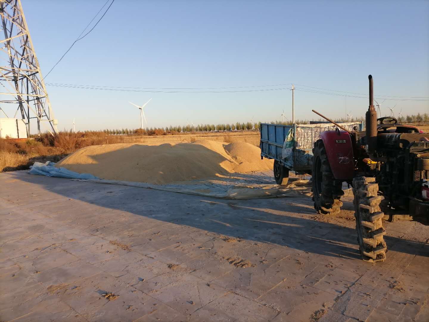 大岗子法庭：保全41万斤水稻，避免集体利益受损