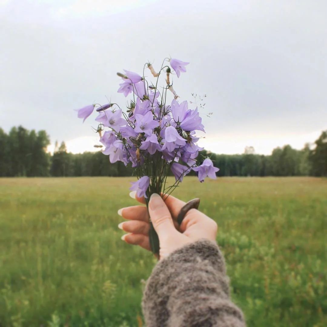 摘抄的晚安文案句子,让人一看倾心立马发圈