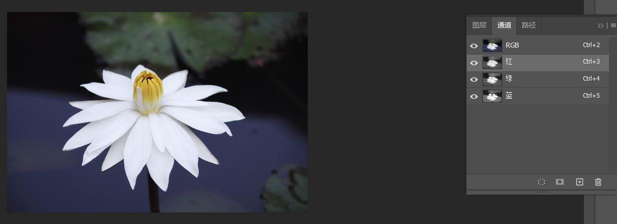 Photoshop通道怎样制作抖音抖动效果