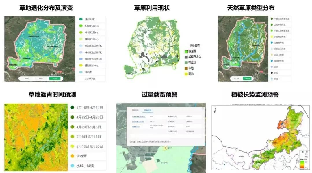 给退化的草原疗伤，一群人一辈子的研究