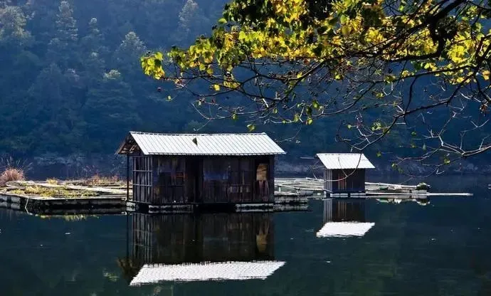 浙西的秘境山水打包送给你,这条自驾路线夏天去正好