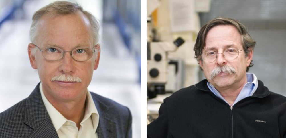 2020年诺奖颁布在即，生命科学领域谁最有望摘取桂冠？