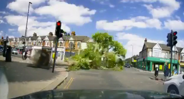 好惊险：西伦敦一棵一抱粗大树被风刮倒，险些