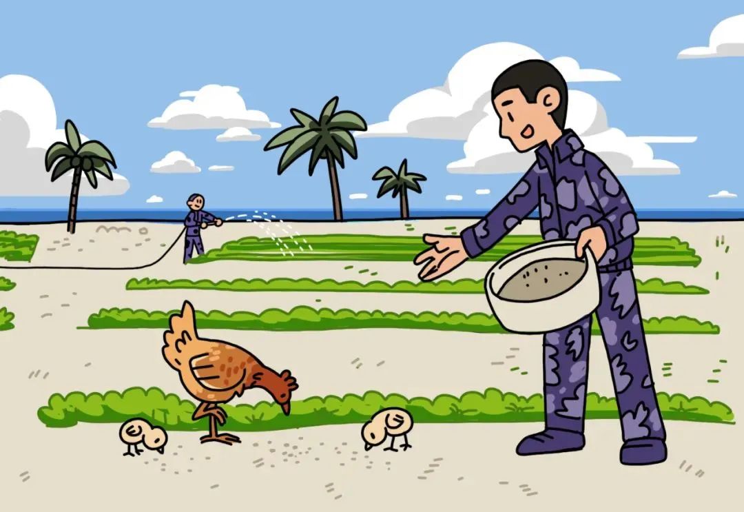 观往知来｜一封来自西沙的信：我们该怎么办？