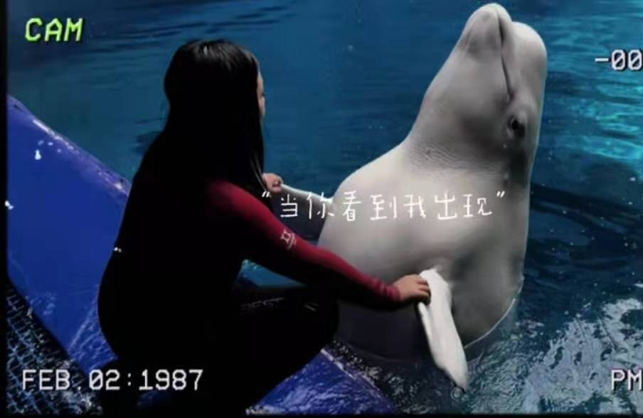 11岁王诗龄久违分享生活照，和爸爸打卡游乐园，自拍太像妈妈李湘