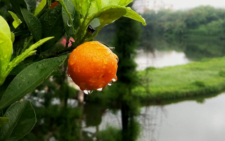 阳光总在风雨后 人生终有暖晴天，那些雨晴的诗词，道尽人生哲理-第12张图片-非凡网