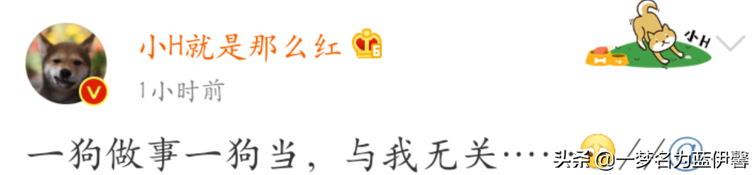 “一线男星”遭王珞丹申请退货，客服何炅在线